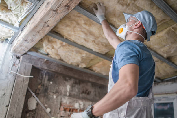 Best Insulation Maintenance and Repair in Pine Island, MN